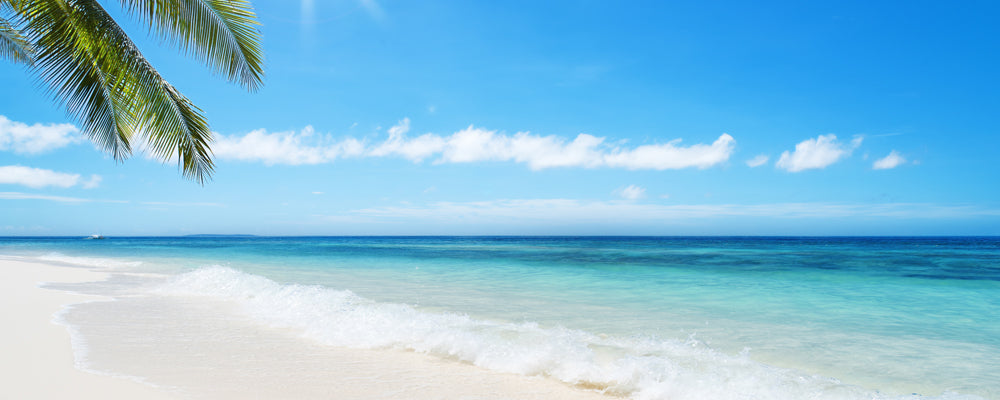 Spring Break Hair Care Essentials: Keep Your Strands Gorgeous