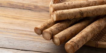 Burdock Root
