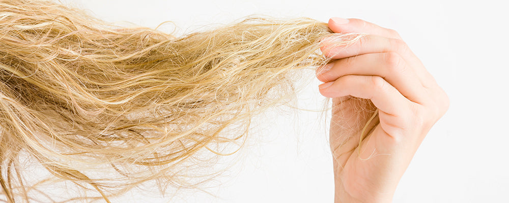 Damaged hair held by hand