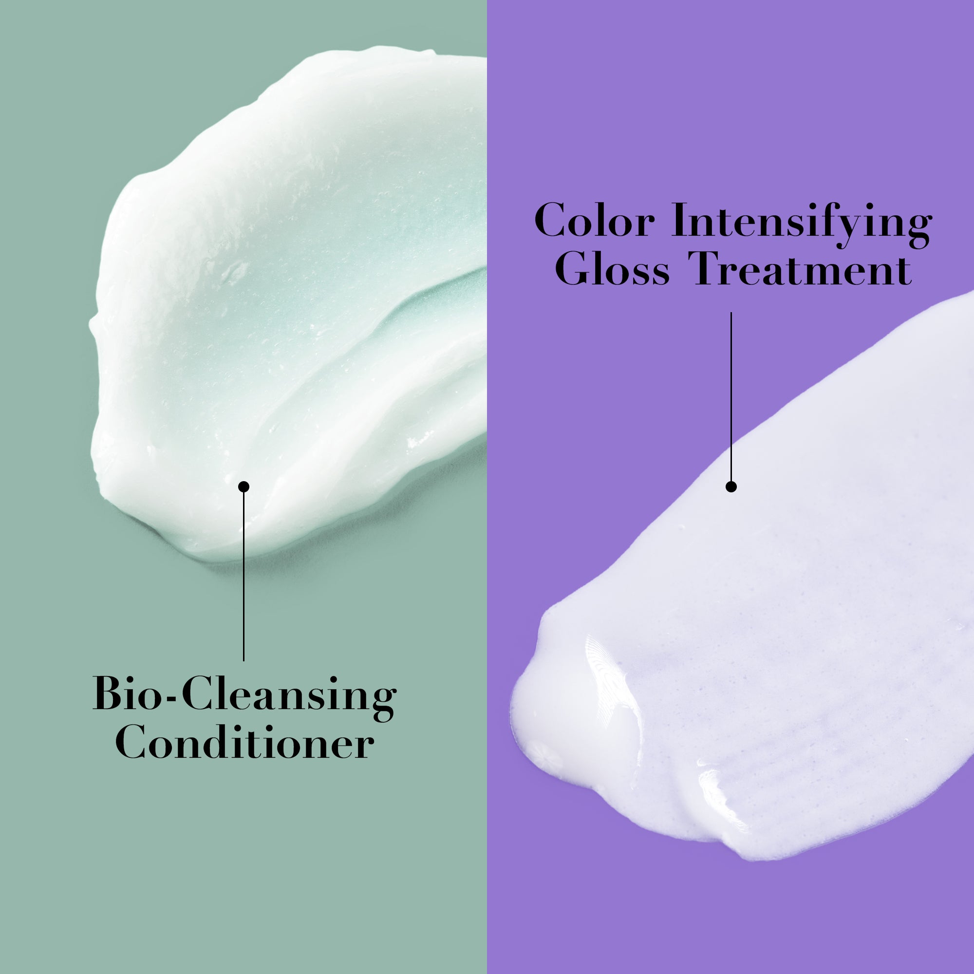 The Shine Revival Duo